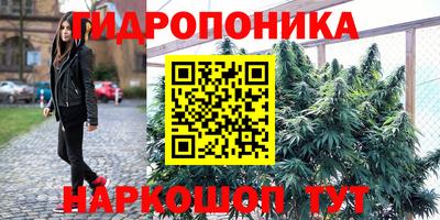 сатива Ирбит