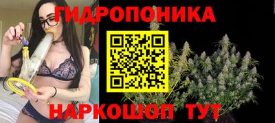 гидра Изобильный