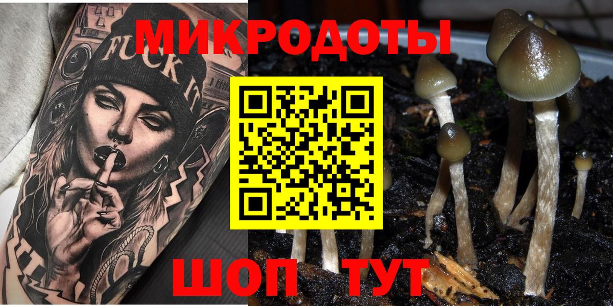 Майкоп  Галлюциногенные грибы мицелий  Вход с VPN 